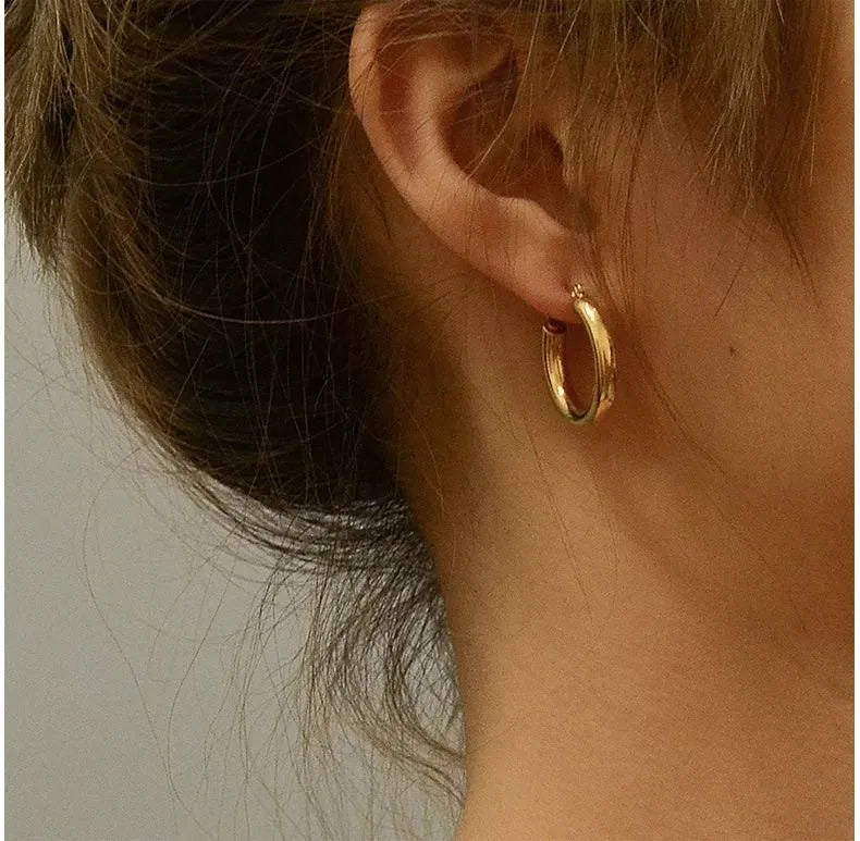 Boucle d'oreilles CEROLE Acier (La Haute Qualité Garentie) ⭐