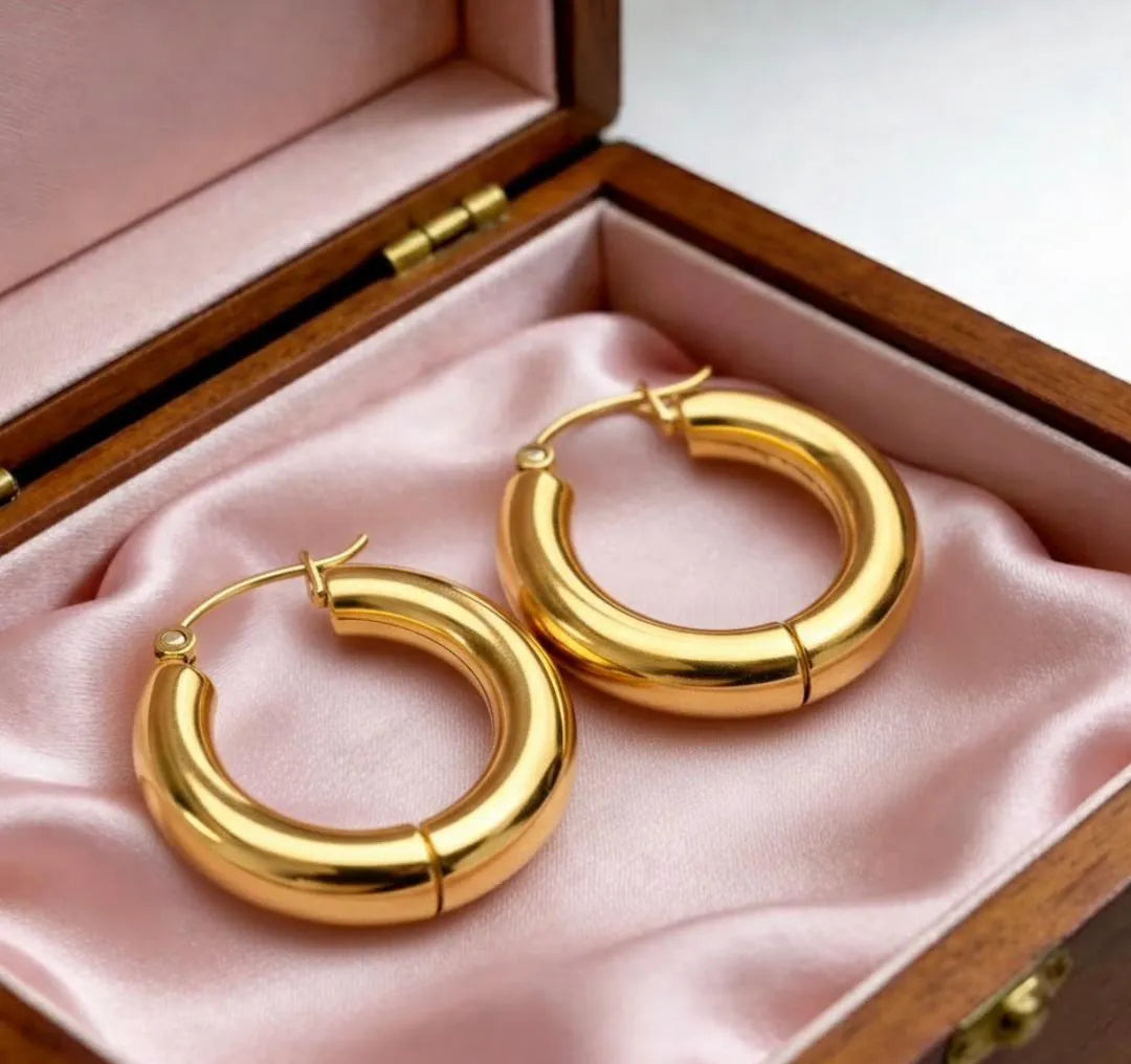 Boucle d'oreilles CEROLE Acier (La Haute Qualité Garentie) ⭐