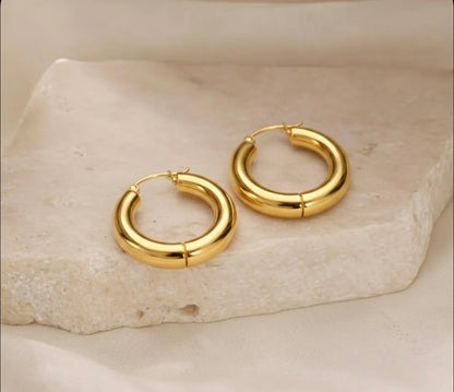 Boucle d'oreilles CEROLE Acier (La Haute Qualité Garentie) ⭐