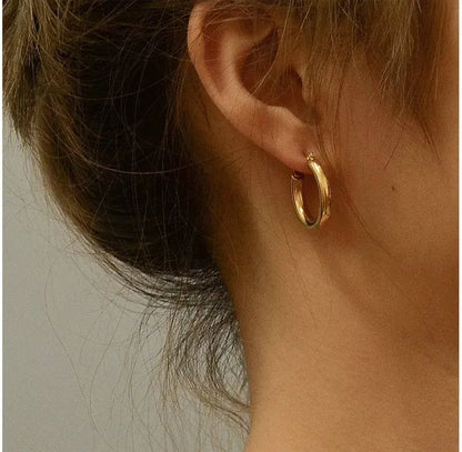 Boucle d'oreilles CEROLE Acier (La Haute Qualité Garentie) ⭐