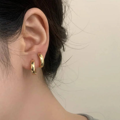 Boucle d'oreilles CEROLE Acier (La Haute Qualité Garentie) ⭐